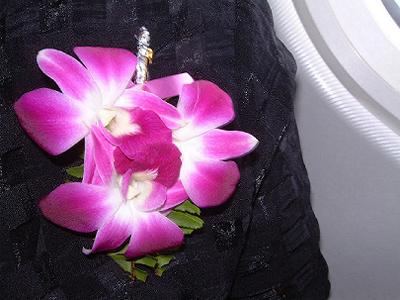 �^�C�̍��ԃI�[�L�b�h�i�����j