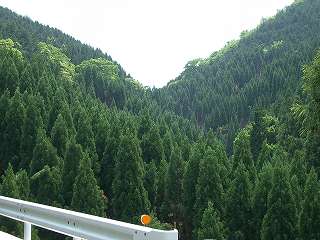 竜駒峠（島根、鳥取県境）