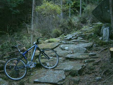 �F��Ó��ő�̓�A���S�R�z���̘@�ؐΕt��