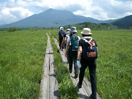 ���w�����E���������̖ؓ�������B�����������x��������